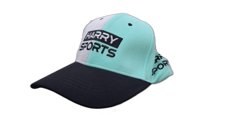 Mens Sports Cap (Blue)